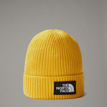 TNF Logo Box Cuffed Beanie