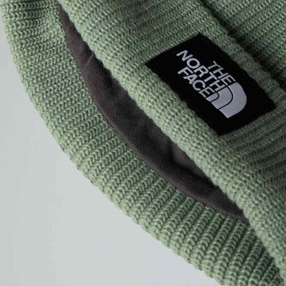 Salty Lined Beanie