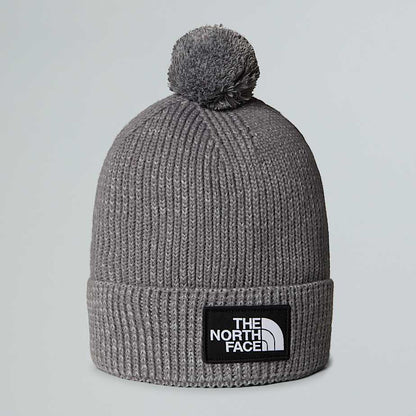 TNF Logo Box Pom Beanie