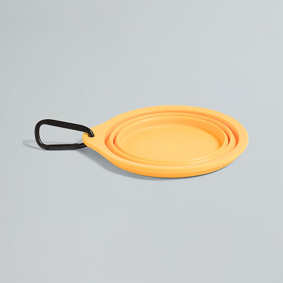 TNF Collapsible Pet Bowl